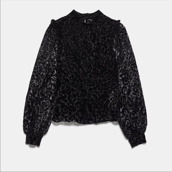 Zara NWT organza blouse - Picture 5 of 10